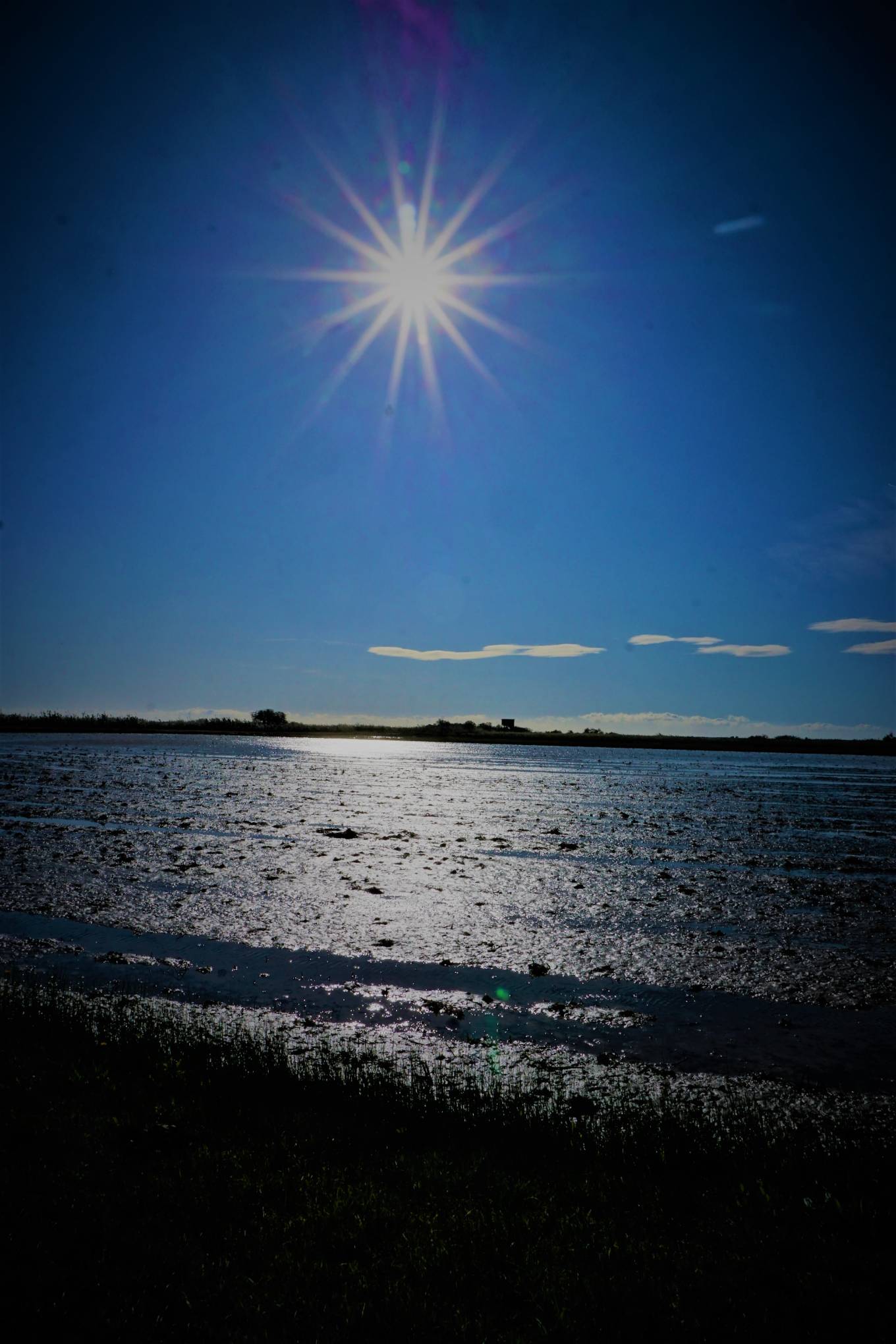 Timidez sol
